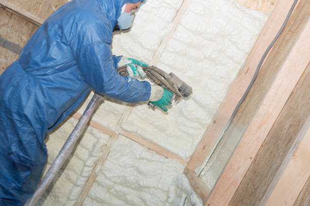 Best Soundproof Insulation  in Cokato, MN